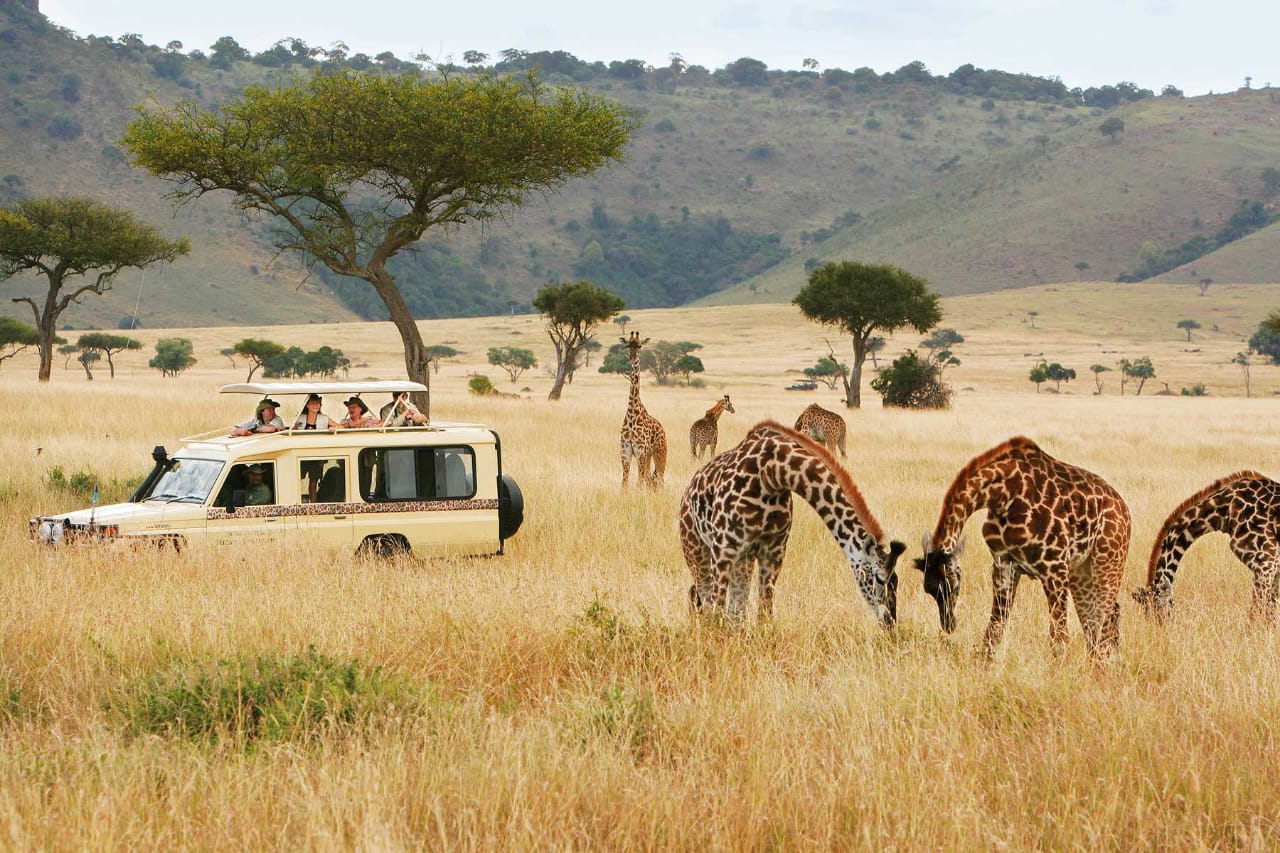 Kenya savanna landscape golden hour