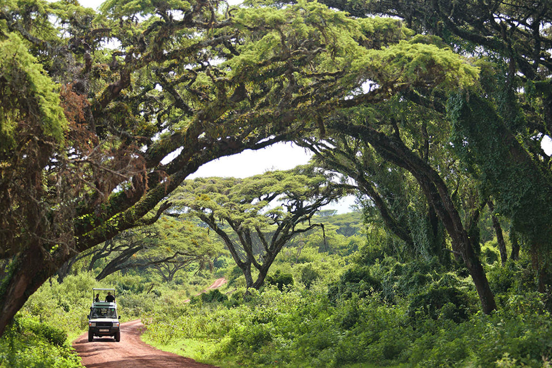 Ngorongoro Crater Tanzania