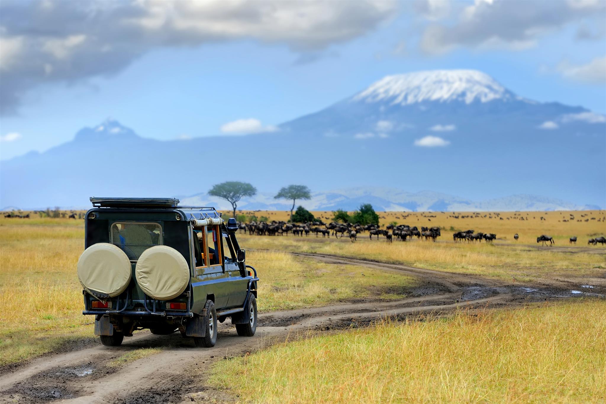 Kenya safari landscape