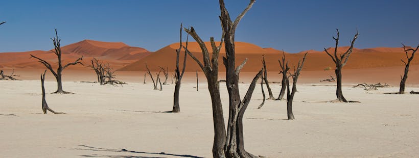 Sossusvlei Dead Vlei Namibia