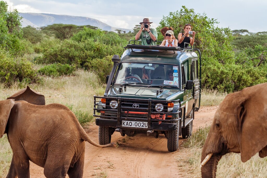 Game Drive
