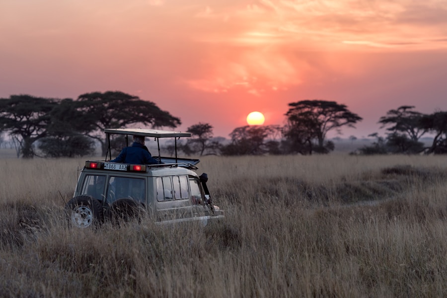 Golden Hour Mara Plains
